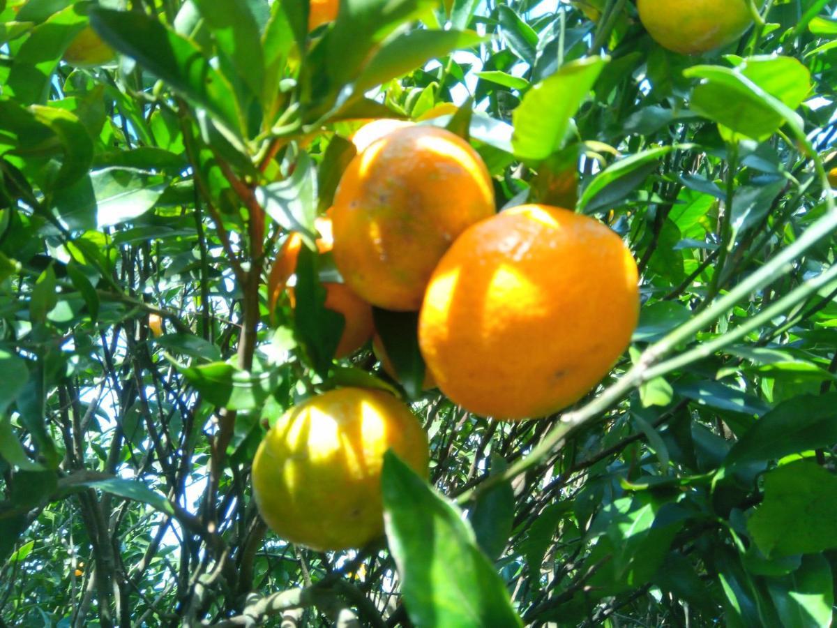 דירות Lajes das Flores Casa L&M מראה חיצוני תמונה