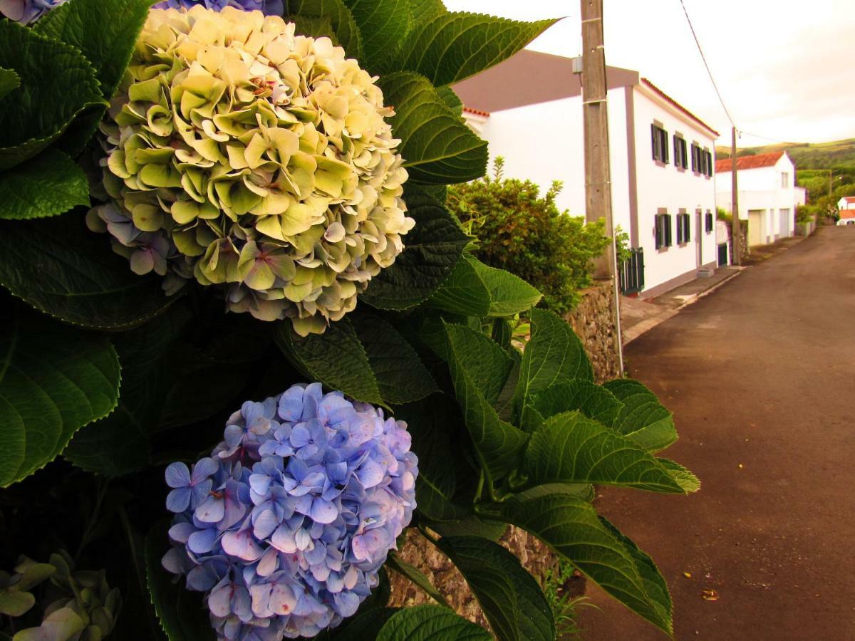 דירות Lajes das Flores Casa L&M מראה חיצוני תמונה