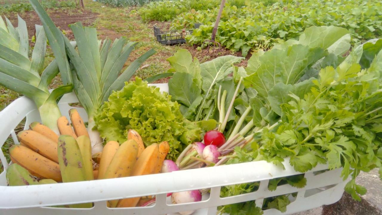 דירות Lajes das Flores Casa L&M מראה חיצוני תמונה